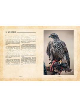 OISEAUX - MYTHES & REALITES