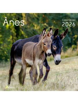 CALENDRIER ANES 2026