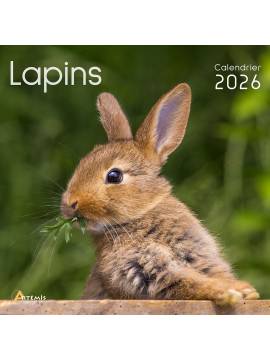 CALENDRIER LAPINS 2026