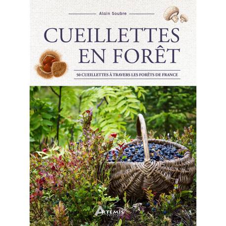 CUEILLETTES EN FORET