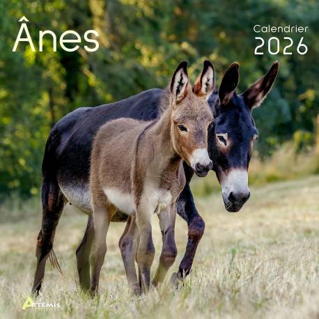 CALENDRIER ANES 2026