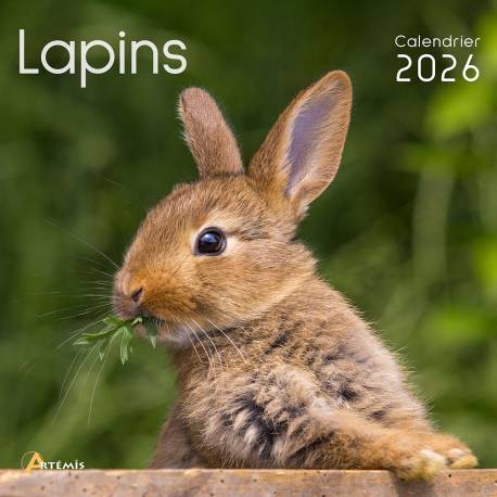 CALENDRIER LAPINS 2026