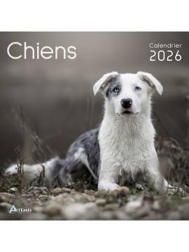 CALENDRIER CHIENS 2026