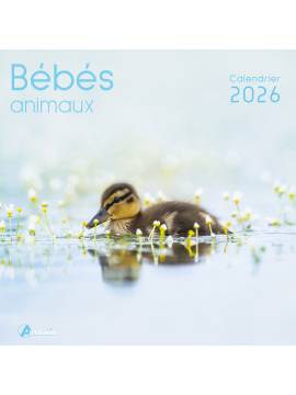 CALENDRIER BEBES ANIMAUX 2026