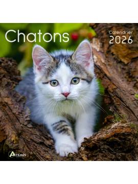 CALENDRIER CHATONS 2026