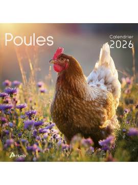 CALENDRIER POULES 2026