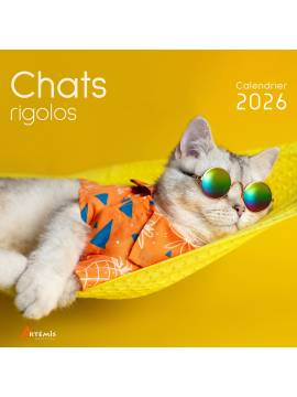 CALENDRIER CHATS RIGOLOS 2026