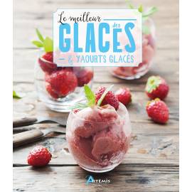 LE MEILLEUR DES GLACES ET YAOURTS GLACES