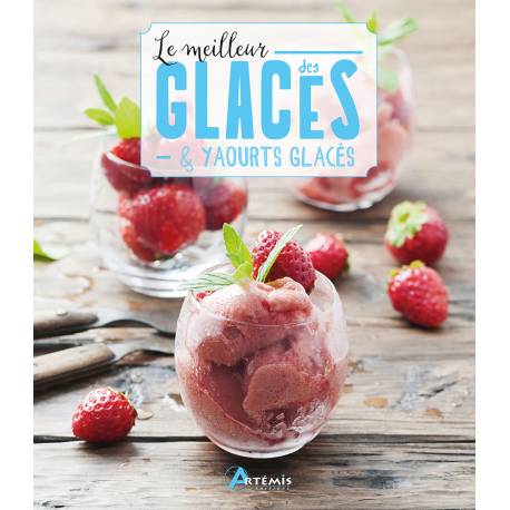 LE MEILLEUR DES GLACES ET YAOURTS GLACES