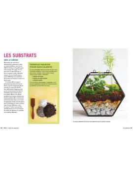 TERRARIUMS - 33 PROJETS POUR CREER DES JARDINS MINIATURES