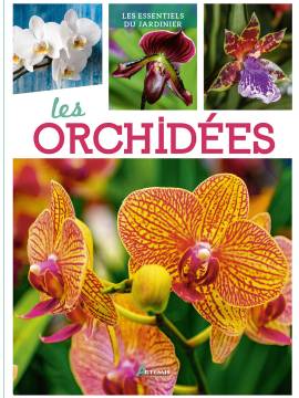 LES ORCHIDEES