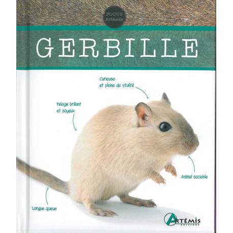 GERBILLE