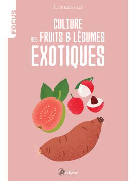 CULTURE DE FRUITS ET LEGUMES EXOTIQUES