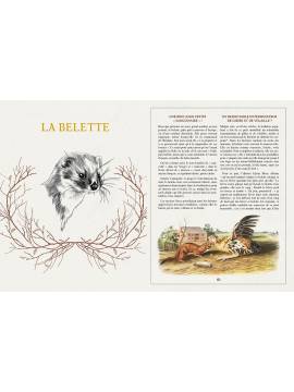 MYSTERES & LEGENDES DES ANIMAUX DE FRANCE