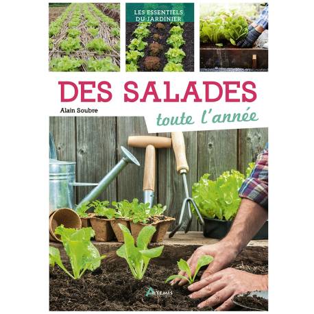 DES SALADES TOUTE L'ANNEE