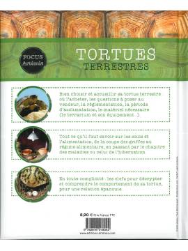 TORTUES TERRESTRES