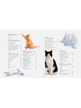 CHATS - UNE HISTOIRE NATURELLE