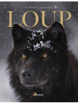 LE LOUP