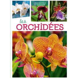 LES ORCHIDEES