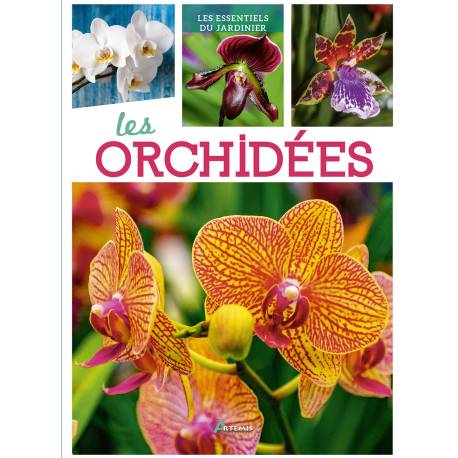 LES ORCHIDEES