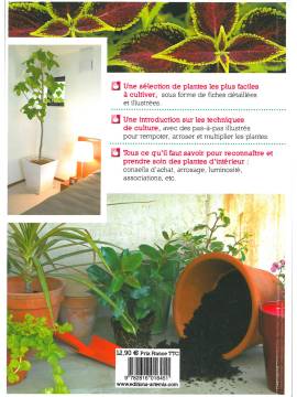 LES PLANTES D'INTERIEUR