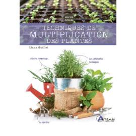 TECHNIQUES DE MULTIPLICATION DES PLANTES