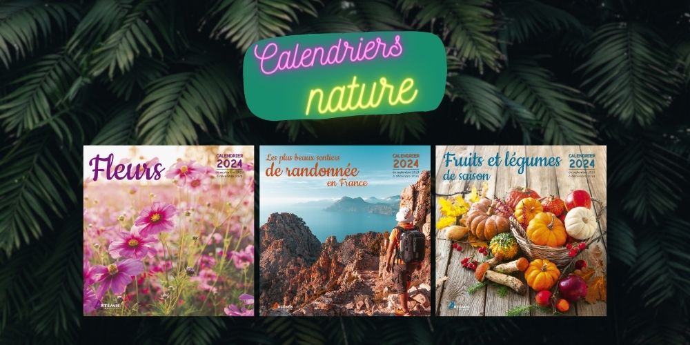 Calendrier 2024 - Editions Artémis